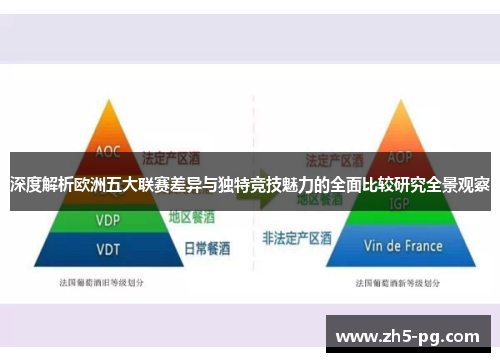 深度解析欧洲五大联赛差异与独特竞技魅力的全面比较研究全景观察